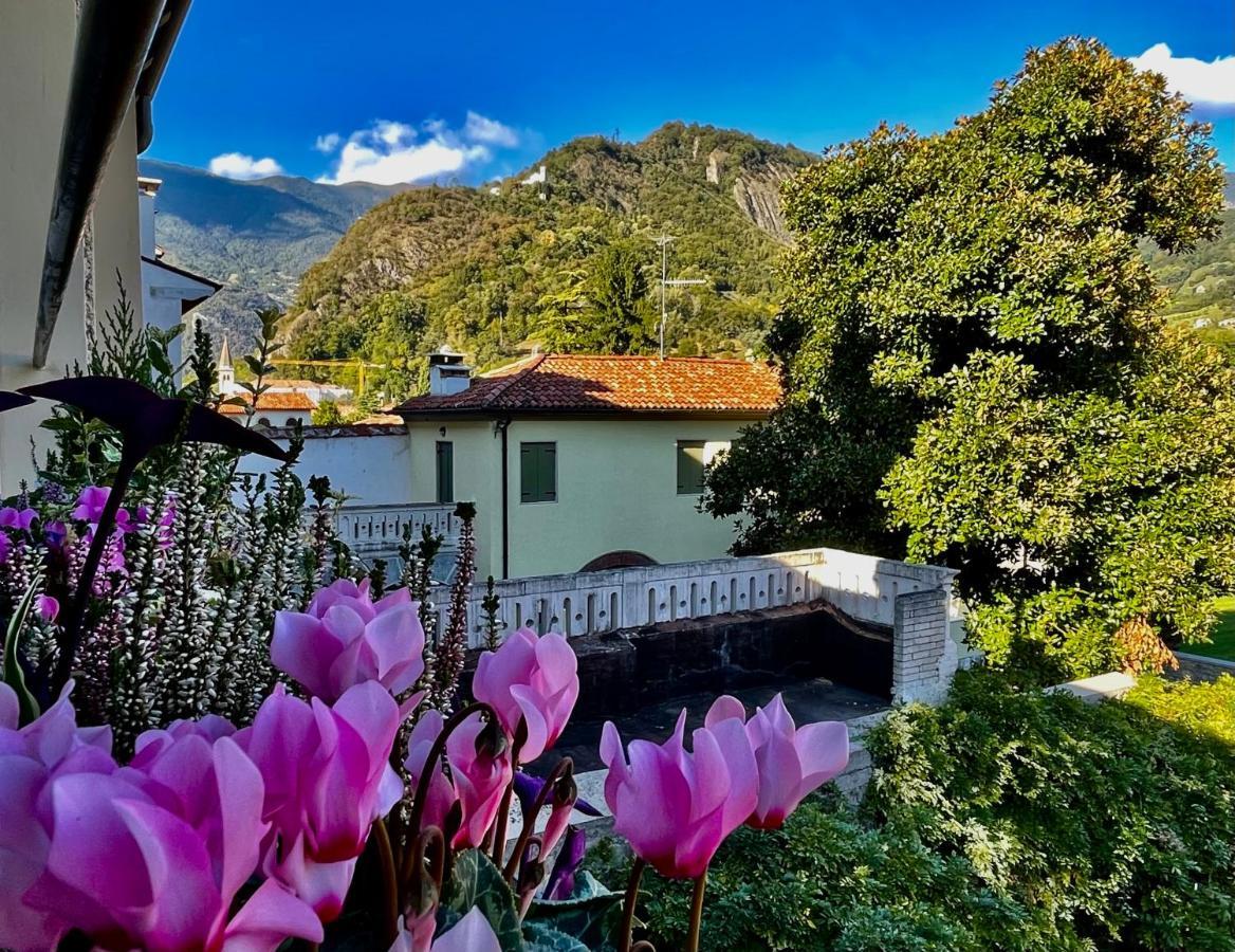 Casa Alpha Hotel Vittorio Veneto Eksteriør billede